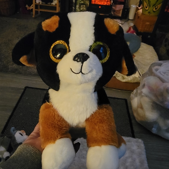 12 in TY Beanie Roscoe - Picture 4 of 6